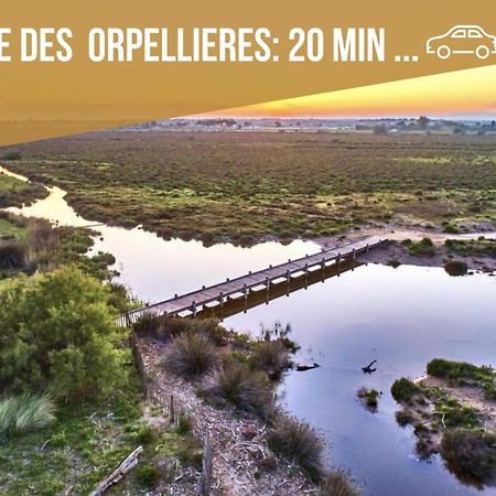 Centre Historique - Free Parking - Self Checkin - Wifi - Industriel - Sleepntripbeziers Daire Dış mekan fotoğraf
