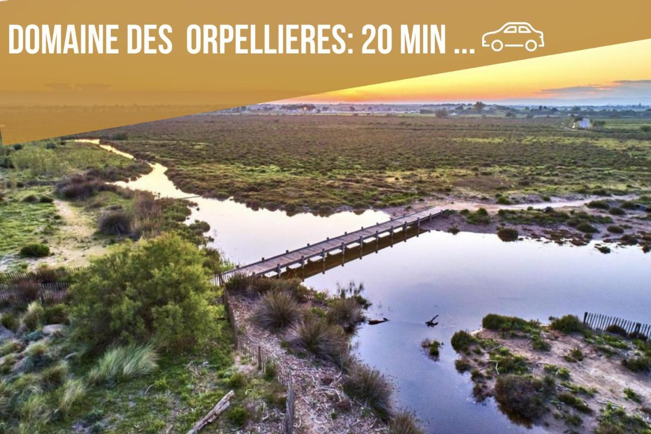 Centre Historique - Free Parking - Self Checkin - Wifi - Industriel - Sleepntripbeziers Daire Dış mekan fotoğraf